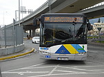 Filename=DSC03261.JPG
Filesize=1997KiB
Dimensions=2592x1944
Date added=Feb 14, 2009 DSC03261.JPG