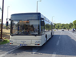 Filename=162_1.JPG
Filesize=732KiB
Dimensions=2048x1536
Date added=Jan 12, 2020 162_1.JPG