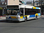 Filename=P1000433.JPG
Filesize=1482KiB
Dimensions=3072x2304
Date added=May 17, 2025 P1000433.JPG