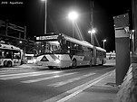 Filename=IMG_0550bwres.jpg
Filesize=270KiB
Dimensions=800x600
Date added=Feb 14, 2009 IMG_0550bwres.jpg