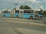 Filename=623.JPG
Filesize=1654KiB
Dimensions=3264x2448
Date added=Jun 22, 2008 623.JPG